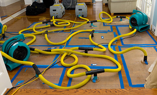 Professional Water Extraction technician working in San Diego, TX